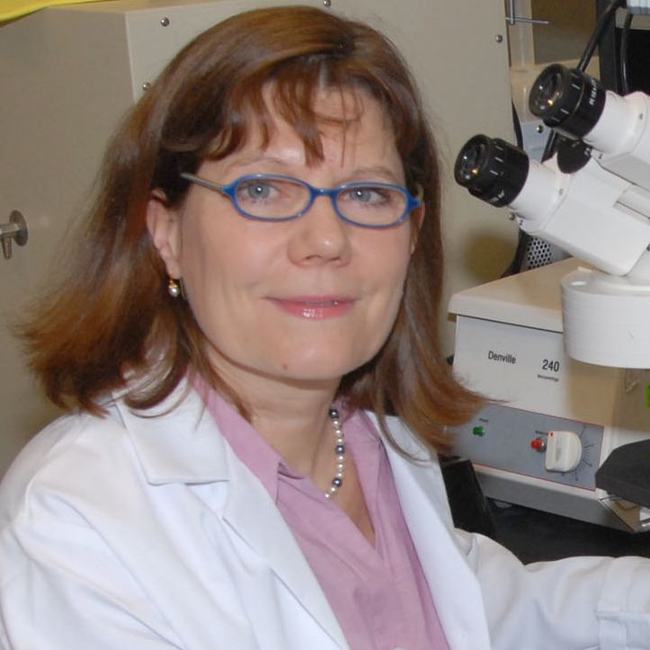 Dr. Heidi Stuhlmann