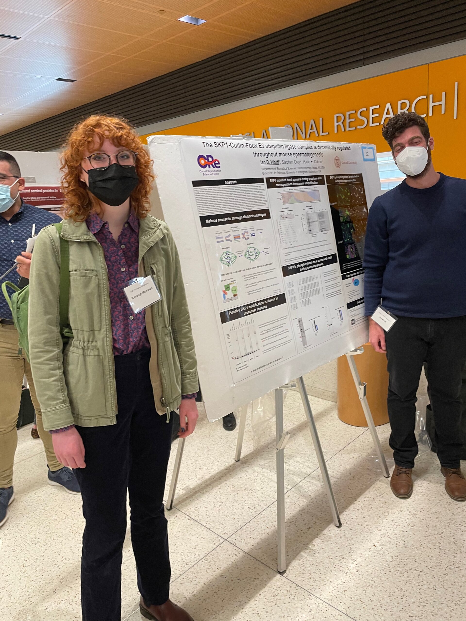 2 Cornell trainees in front of a “The SKP1-Cullin-Fbox E3 ubiquitin ligase complex is dynamically regulated throughout mouse spermatogenesis” poster