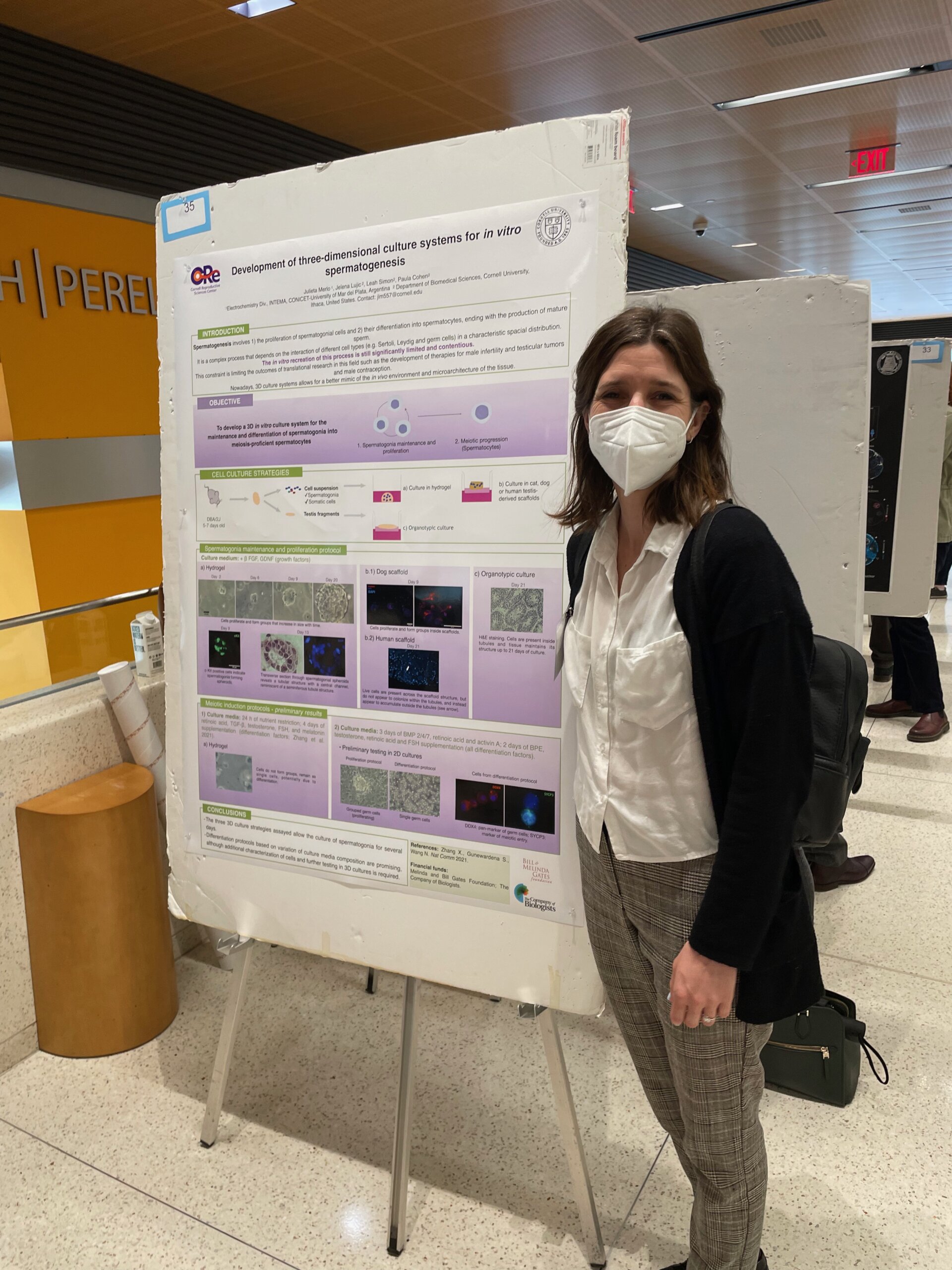 Female scientist standing in front of “Development of three-dimensional culture systems for in vitro spermatogenesis” poster