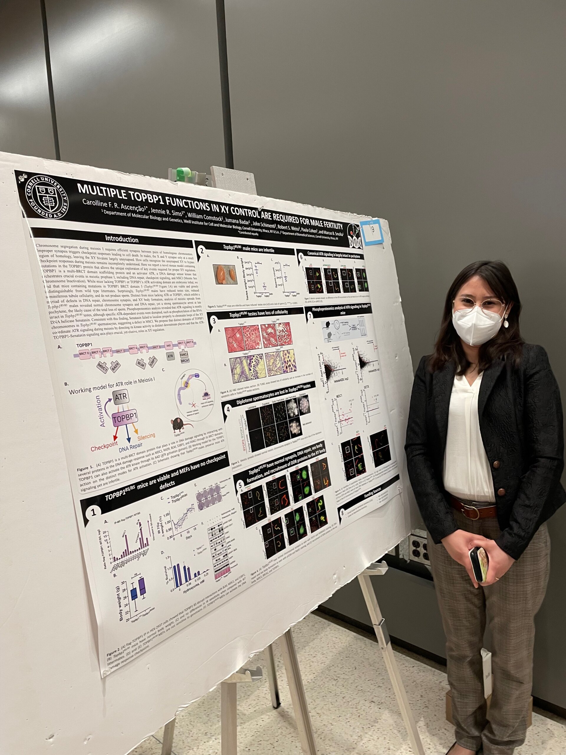 Dr. Carrolline Ascencao posing in front of her poster, entitled “Multiple TOPBP1 functions in XY control are required for male fertility” Image