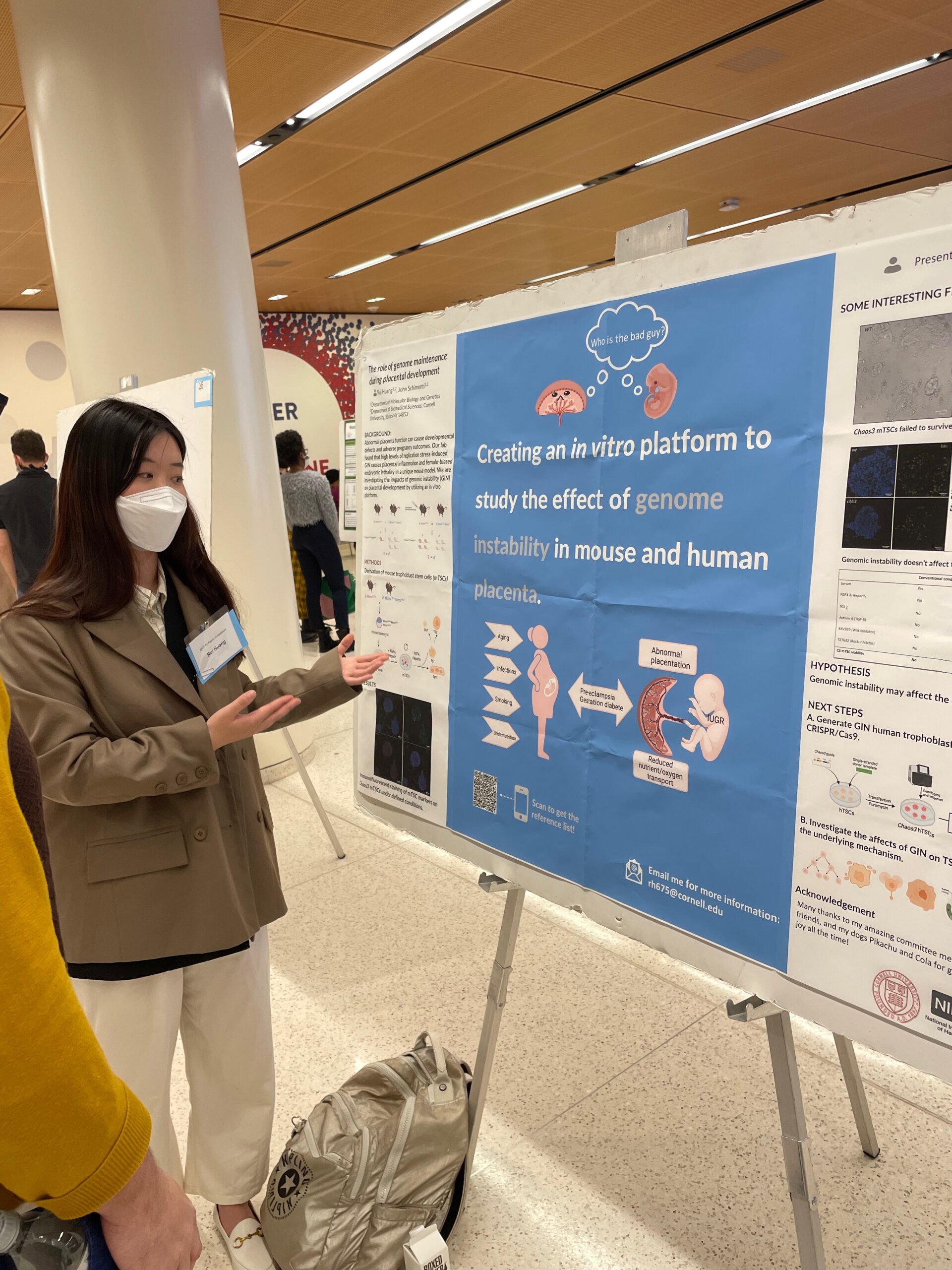 Dr. Rui Huang standing in front of and discussing “Creating an in vitro platform to study the effect of genome instability in mouse and human placenta” poster