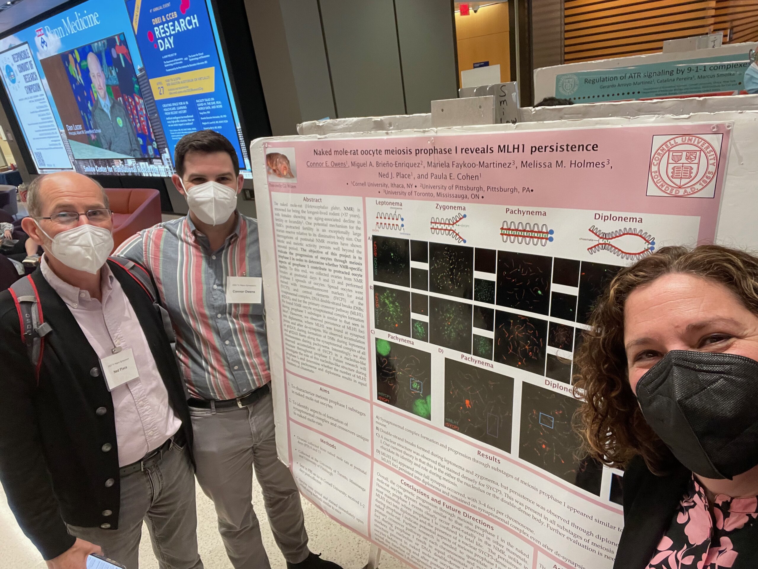Dr Paula Cohen, Dr Ned Place and Dr Connor Owens in front of “Naked mole-rat oocyte meiosis prophase I reveals MLH1 persistence” poster display