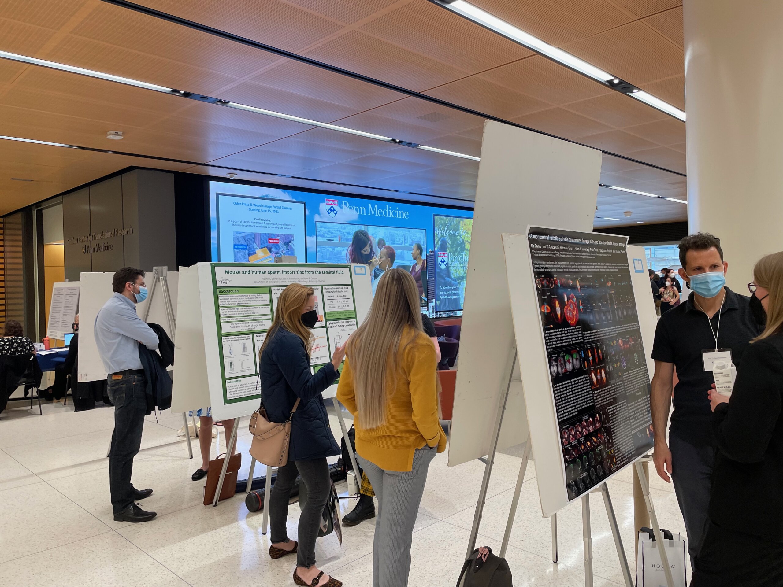 Small group of attendees with scientific posters presented by Cornell, Penn, and Pittsburgh trainees in a conference hall