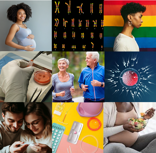 Promotional image for 2025 Cornell Women's Health Symposium, featuring a grid of images including contraceptives, pregnant people, couples, and more